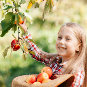 little girl picking apples