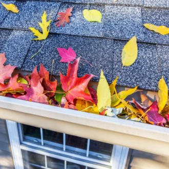 colorful leaves in gutter on roof 