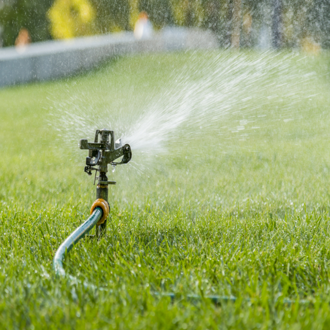 sprinkler watering yard